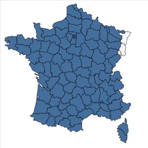 Répartition de Lactuca virosa L. en France
