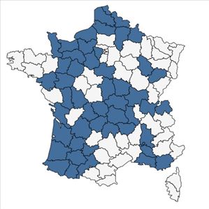 Répartition de Amaranthus blitum L. subsp. blitum en France