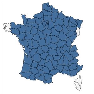 Répartition de Asplenium trichomanes subsp. quadrivalens D.E.Mey. en France