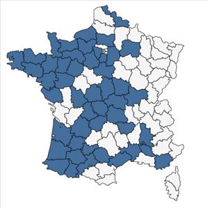 Répartition de Lagarosiphon major (Ridl.) Moss en France
