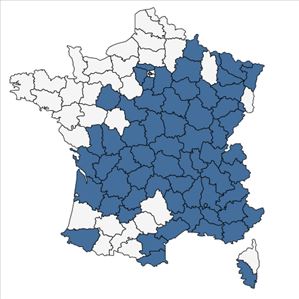 Répartition de Centaurea jacea L. subsp. jacea en France