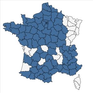 Répartition de Chaenorhinum minus (L.) Lange subsp. minus en France