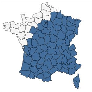 Répartition de Dactylis glomerata L. subsp. glomerata en France