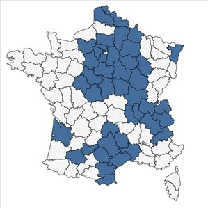 Répartition de Dianthus carthusianorum L. subsp. carthusianorum en France