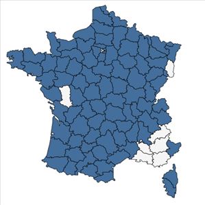 Répartition de Dryopteris affinis subsp. borreri (Newman) Fraser-Jenk. en France