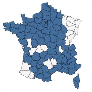 Répartition de Foeniculum vulgare Mill. subsp. vulgare en France