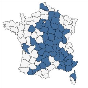 Répartition de Fumaria officinalis var. wirtgenii (W.D.J.Koch) Rouy & Foucaud en France