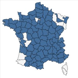 Répartition de Galium verum L. subsp. verum en France