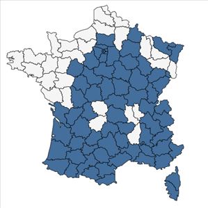 Répartition de Geranium robertianum L. subsp. robertianum en France