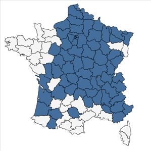 Répartition de Heracleum sphondylium L. subsp. sphondylium en France