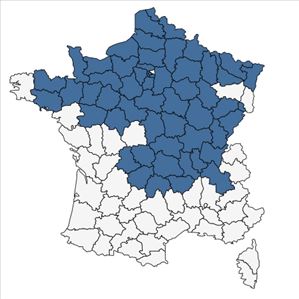 Répartition de Hypericum maculatum subsp. obtusiusculum (Tourlet) Hayek en France