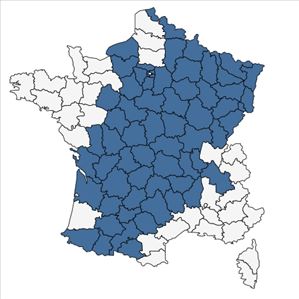 Répartition de Lathyrus linifolius f. montanus (Bernh.) Bässler en France