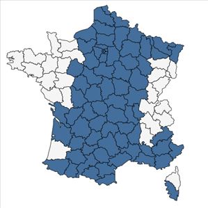 Répartition de Lysimachia arvensis (L.) U.Manns & Anderb. subsp. arvensis en France