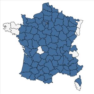 Répartition de Lysimachia foemina (Mill.) U.Manns & Anderb. en France