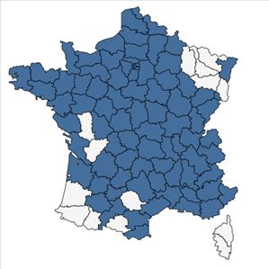 Répartition de Medicago sativa L. subsp. sativa en France