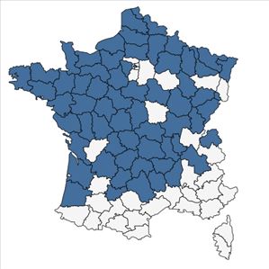 Répartition de Mentha x verticillata L. en France