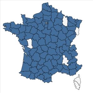 Répartition de Molinia caerulea (L.) Moench subsp. caerulea en France