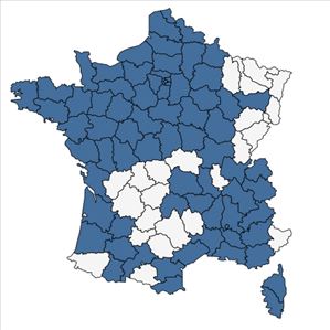 Répartition de Plantago coronopus L. subsp. coronopus en France