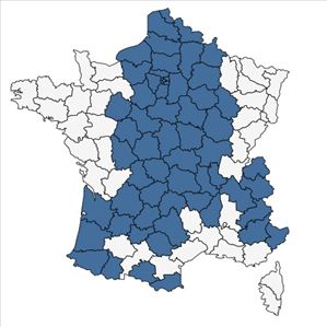 Répartition de Poa nemoralis L. subsp. nemoralis en France