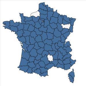 Répartition de Lathyrus hirsutus L. en France