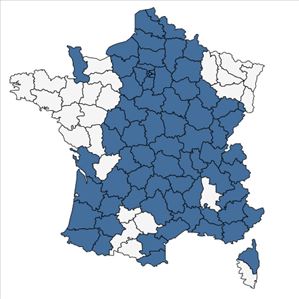 Répartition de Polygonum aviculare L. subsp. aviculare en France