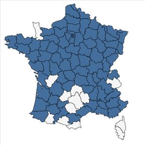 Répartition de Populus x canescens (Aiton) Sm. en France