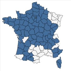 Répartition de Ficaria verna Huds. subsp. verna en France