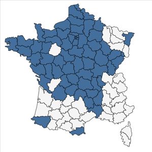 Répartition de Rumex x pratensis Mert. & W.D.J.Koch en France