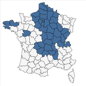 Répartition de Salix x multinervis Döll en France