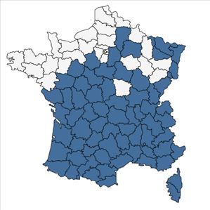 Répartition de Lathyrus niger (L.) Bernh. en France