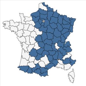 Répartition de Valeriana officinalis subsp. tenuifolia (Vahl) Schübler & G.Martens en France