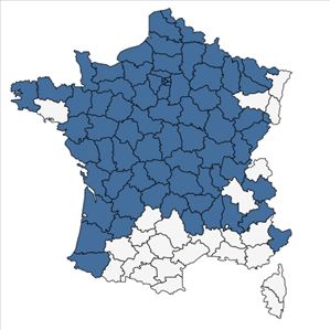 Répartition de Veronica sublobata M.Fisch. en France