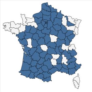 Répartition de Vitis vinifera L. subsp. vinifera en France