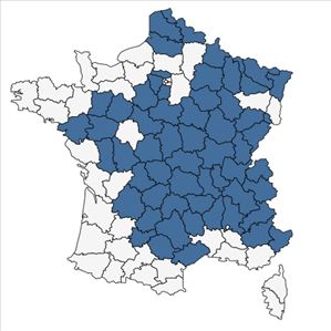 Répartition de Aethusa cynapium subsp. elata (Friedl.) Schübler & G.Martens en France