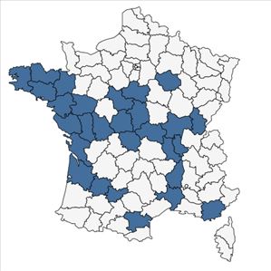 Répartition de Anacamptis x alata (Fleury) H.Kretzschmar, Eccarius & H.Dietr. en France