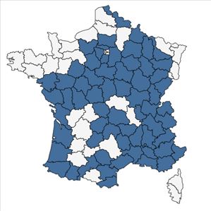 Répartition de Arabis sagittata (Bertol.) DC. en France