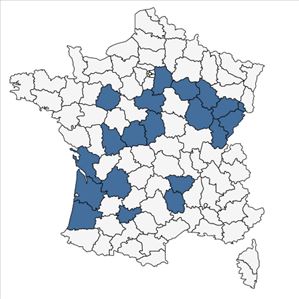 Répartition de Carex hirta L. f. hirta  en France