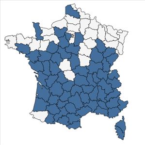 Répartition de Lathyrus sphaericus Retz. en France