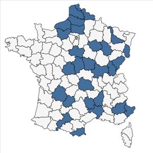 Répartition de Festuca rubra subsp. juncea (Hack.) K.Richt. en France