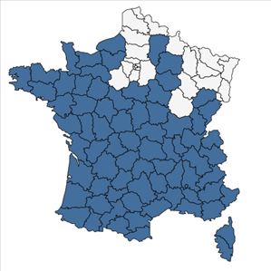 Répartition de Anacamptis laxiflora (Lam.) R.M.Bateman, Pridgeon & M.W.Chase en France