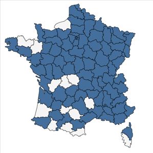 Répartition de Lathyrus tuberosus L. en France