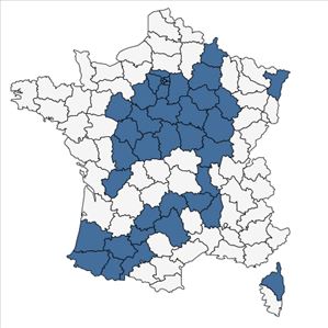 Répartition de Juncus articulatus L. subsp. articulatus en France