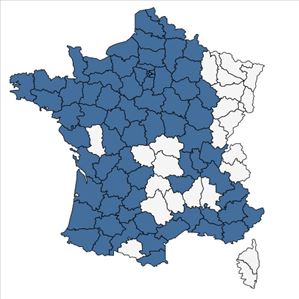 Répartition de Kickxia elatine (L.) Dumort. subsp. elatine en France