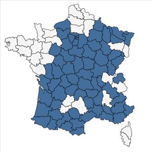 Répartition de Lotus corniculatus L. subsp. corniculatus en France