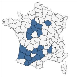 Répartition de Luzula forsteri (Sm.) DC. subsp. forsteri en France