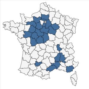 Répartition de Orchis x angusticruris Franch. ex Rouy en France