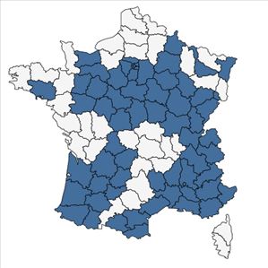 Répartition de Pimpinella saxifraga L. subsp. saxifraga en France