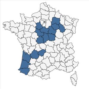 Répartition de Pimpinella saxifraga subsp. saxifraga var. dissectifolia Wallr. en France