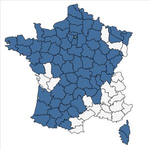 Répartition de Polygala vulgaris L. subsp. vulgaris en France