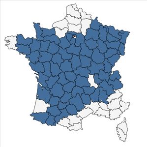 Répartition de Primula veris L. var. veris en France